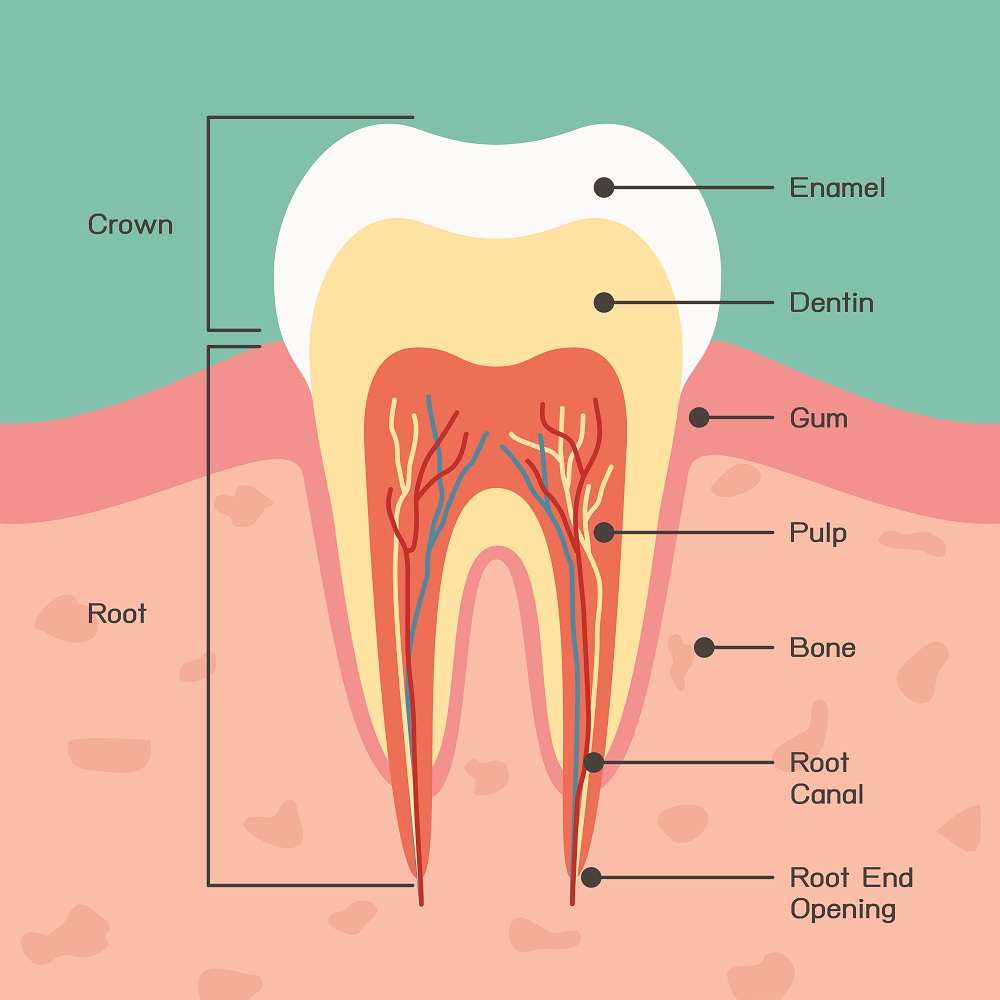 What Is Tooth Enamel Erosion And Can It Be Treated Imperial Dental Center